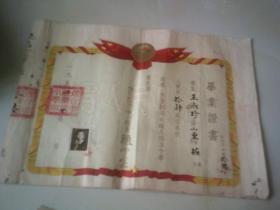 1954年毕业证书