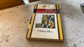英文原版  Midaq Alley 米达格胡同，1988年诺贝尔文学奖得主纳吉布·马哈福兹作品，英文原版