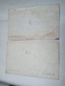 明信片 明信片 五花丹凤、红龙睛高头 两张  尹福康摄  上海人民美术出版社
