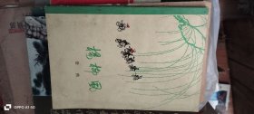 杨柳风 浩然 北京人民出版社 内有彩色插图