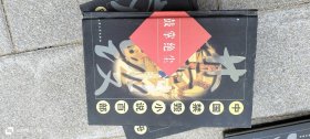 中国禁毁小说百部《鼓掌绝尘》 作者: (明）金木散人 出版社: 大众文艺出版社