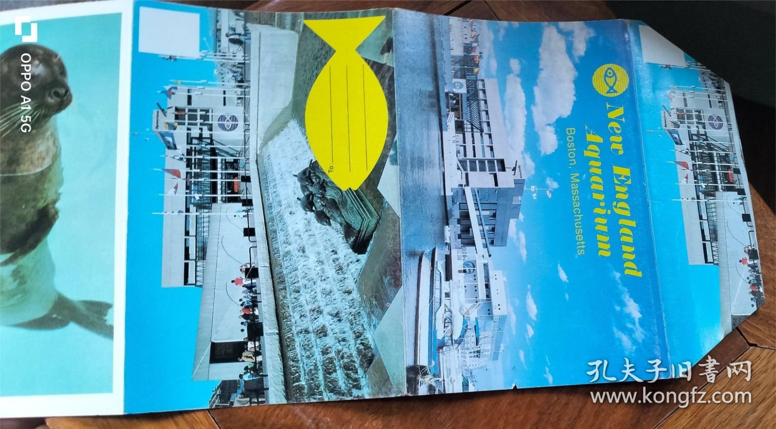 旅游小画片 折叠式 14面