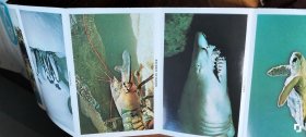 旅游小画片 折叠式 14面