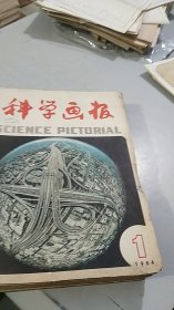 科学画报 1984 1-12（全年12期全）