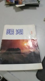 江苏省常州市武进地区极其稀少的文学创刊号试刊号：阳湖（文学杂志）（原来是一张小报，现在变成杂志）（有复刊词，也是创刊词）（江苏省文化厅厅长和武进县副县长题词复刊）