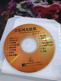 音乐风光欣赏：金小号  VCD（裸盘）