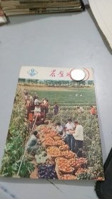 农业知识 1977 13