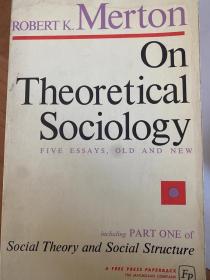 On Theoretical Sociology