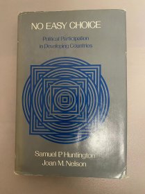 No Easy Choice: Political Participation in Developing Countries