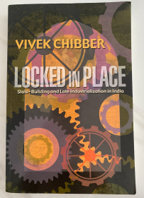 Locked in Place : State-Building and Late Industrialization in India