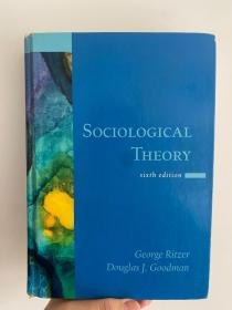 Sociological Theory （sixth edition）