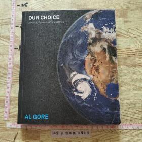 Our Choice：A Plan to Solve the Climate Crisis我们的选择：解决气候危机的计划