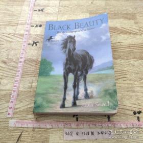 Black Beauty  黑骏马