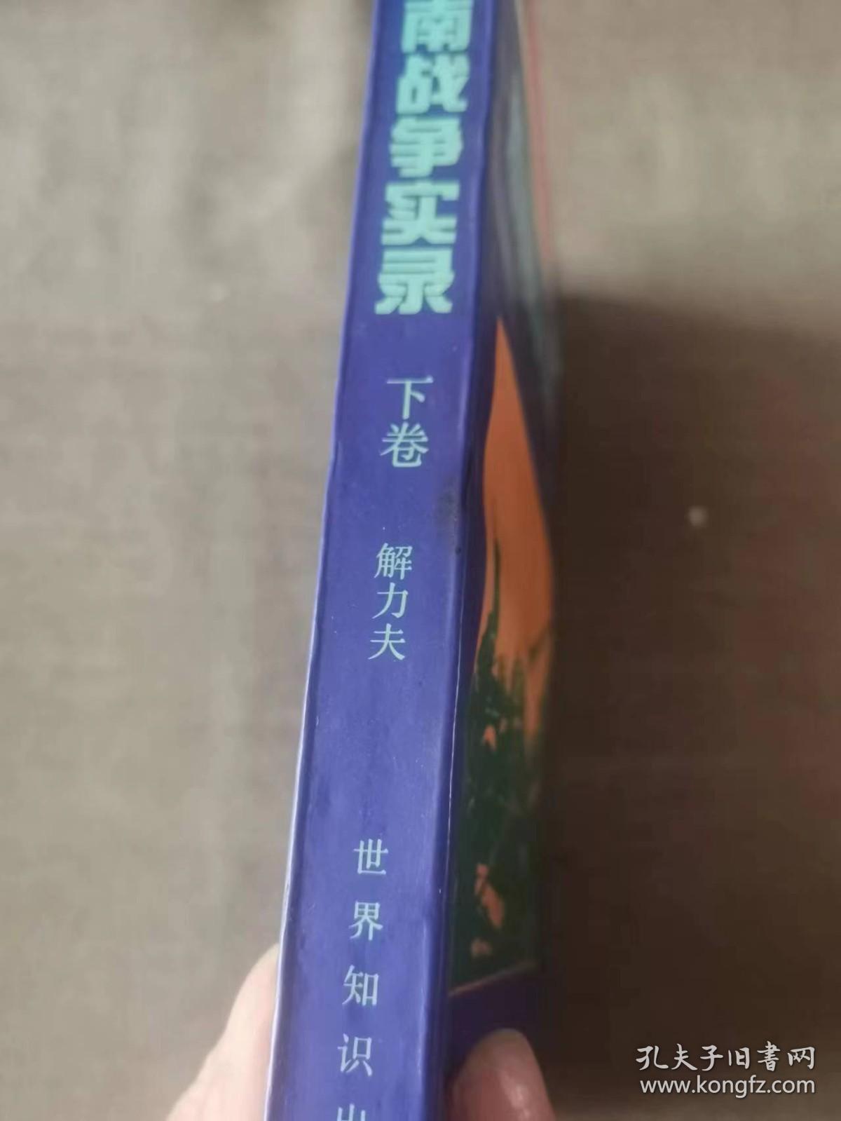 越南战争实录 下