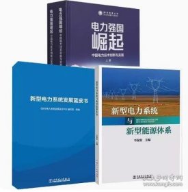 电力强国崛起全3册—中国电力技术创新与发展+新型电力系统与新型能源体系+新型电力系统发展蓝皮书