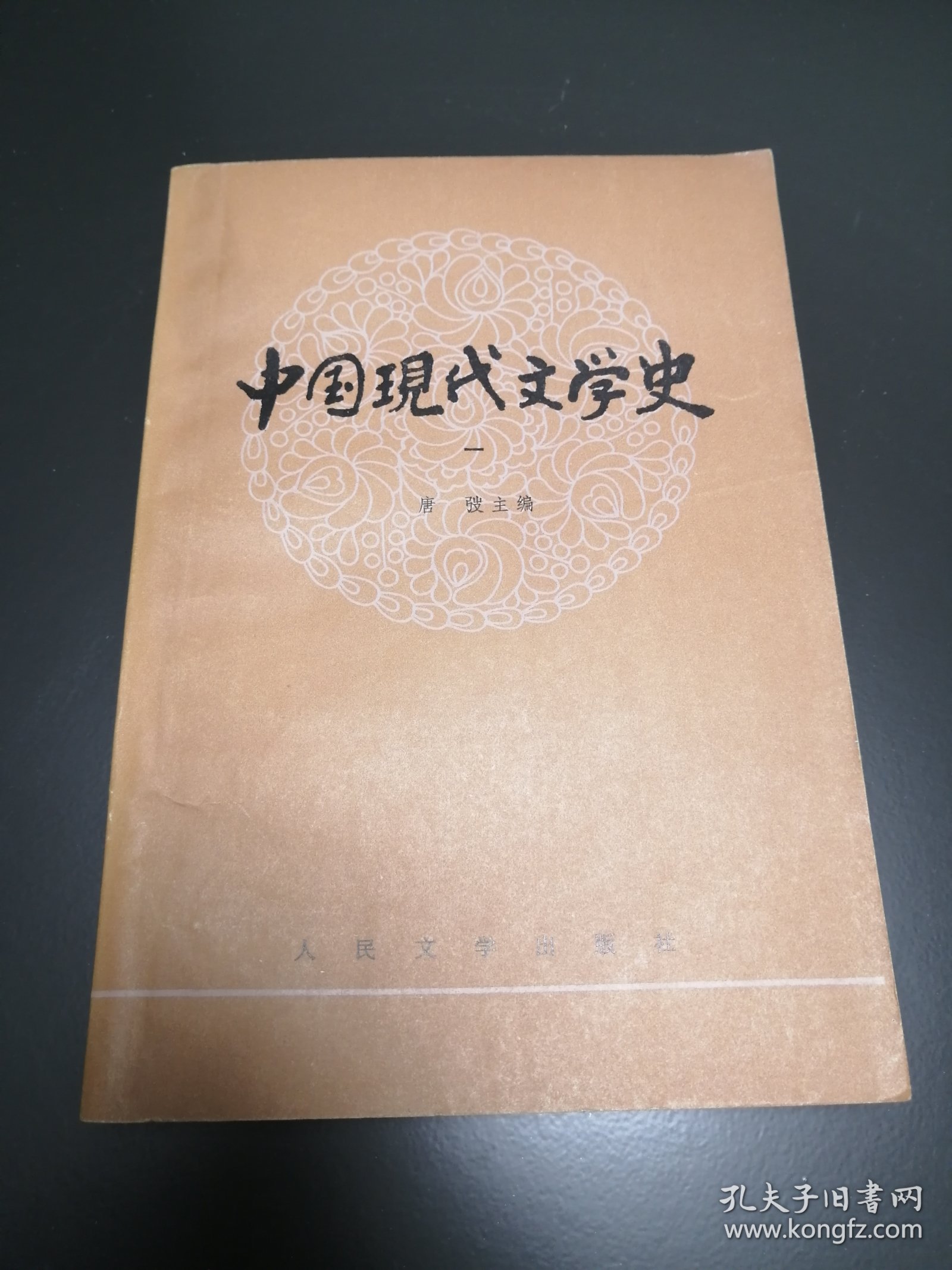 中国现代文学史（一）
