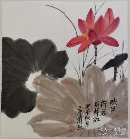 本地小名家保真“花鸟”老字画一幅 王孝兰（款）5