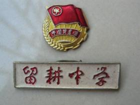 共青团徽和留耕中学校徽