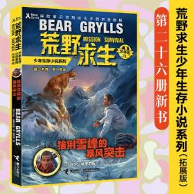 荒野求生少年生存小说系列26：猞猁雪峰的暴风突击