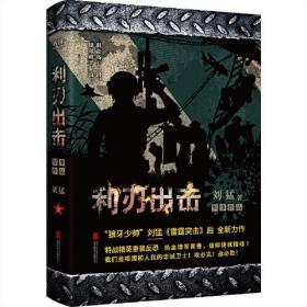 利刃出击（杨烁、牟星主演电视剧《利刃出击》原著小说）