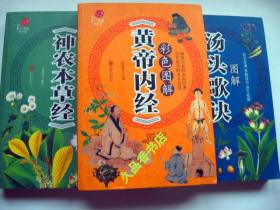 医学经典传统良方养生保健方法图解汤头歌诀单册+彩色图解《黄帝内经》+彩色图解《神农本草经》