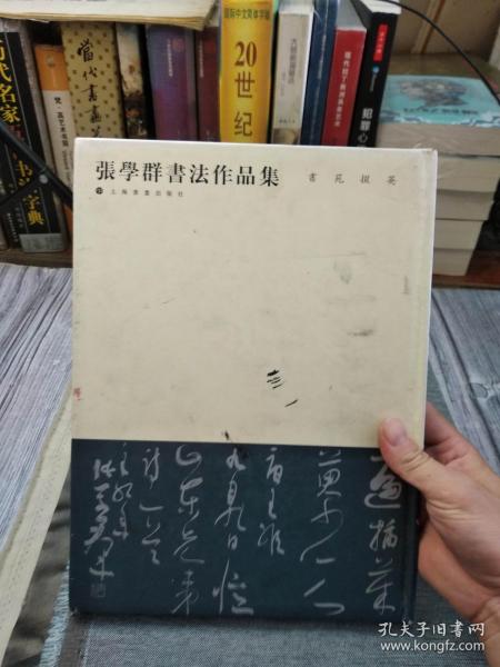 书苑掇英：张学群书法作品集