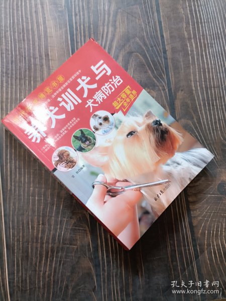 现代家庭博览书屋：养犬训犬与犬病防治