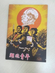 湖北青年 1966.5【封底-向革命英雄学习（国际主义战士罗盛教）；红安县知识青年 王敬璋-大跃进的成果谁也抹杀不了；武汉下乡青年 万迪英-共产党是人民的大救星；评“三家村”——《燕山夜话》《三家村札记》的反动本质；愤怒声讨邓拓的反党反社会主义罪行；学习毛主席著作积极分子名单；四好团支部的名单（广济县石佛寺公社杨林大队团支部等）；邓拓是“三家村”黑店的掌柜 《燕山夜话》是反党反社会主义的黑话】