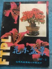 花木盆景 1997.3【彩页-97香港花卉博览会盆景作品选登、温州松树盆景；培养名贵国兰的实践工作；寒菊的栽培技术要点；天赐国宝—六合雨花石；雨花石二十四品；陈留美-“雨中皇后”—雨花石；黄葵 刘福林-根木石艺术与自在虚空美学观；暗绿绣眼鸟的饲养；陈立丰-根艺创作中枝的运用；陈象川-“碎石系列”山水盆景创作体会；张焕先-论附石盆景及其创作；徐志苗-谈盆景创作中的因袭与创新——兼与陈象川先生商榷】