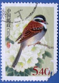 中国鸟-藏鹀5.40元高值票掉角--早期邮票甩卖--实物拍照--保真