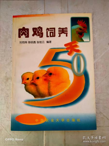 肉鸡饲养50天