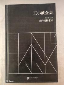 王小波全集（第八卷 杂文）：我的精神家园