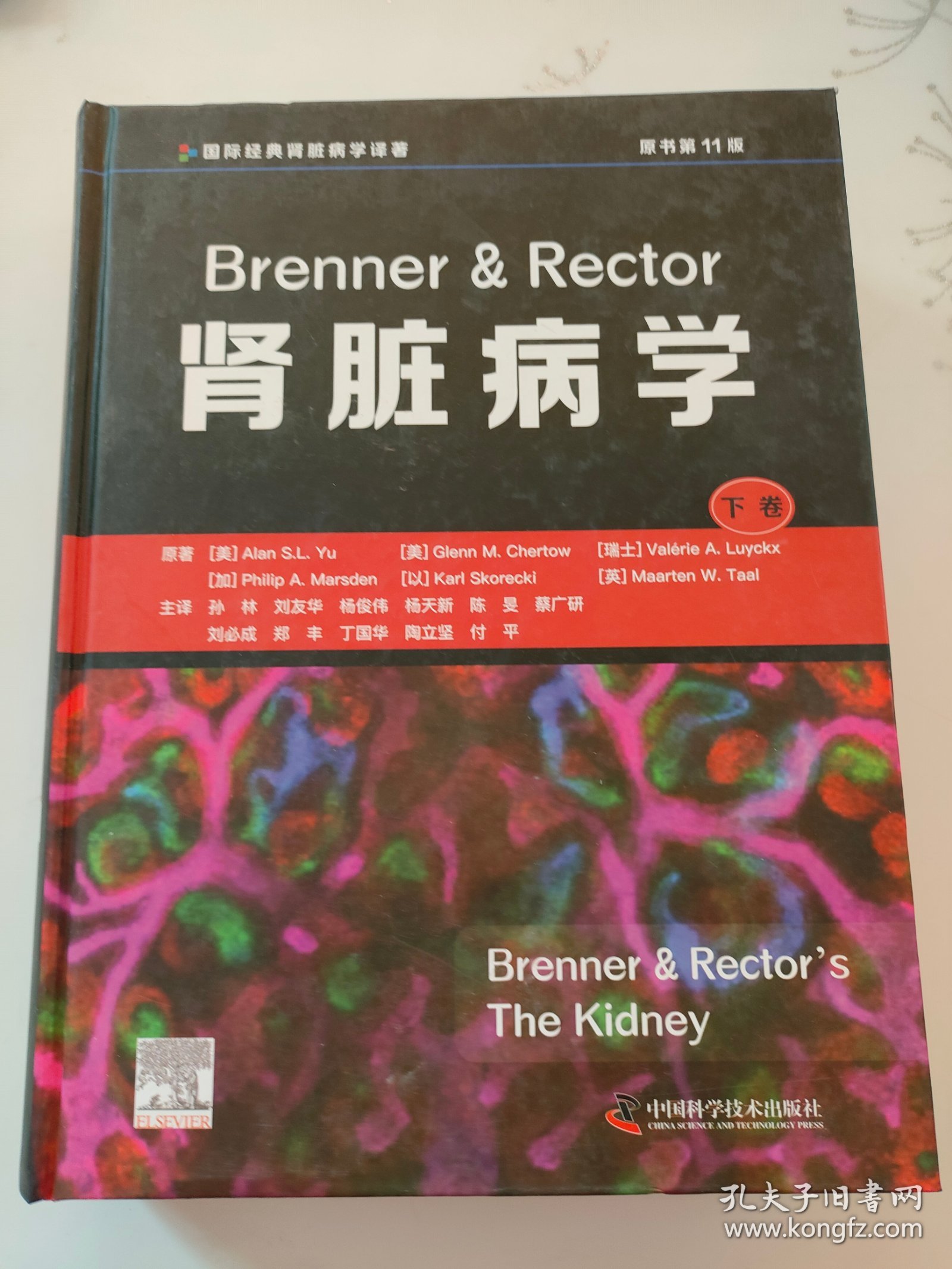 Brenner & Rector肾脏病学（原书第11版）下卷