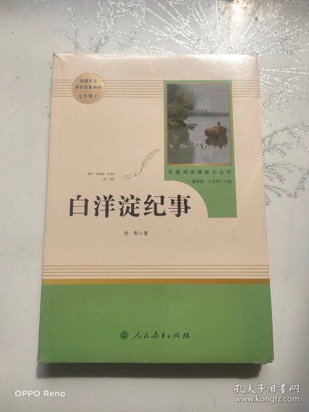 白洋淀纪事 名著阅读课程化丛书（统编语文教材配套阅读）七年级上