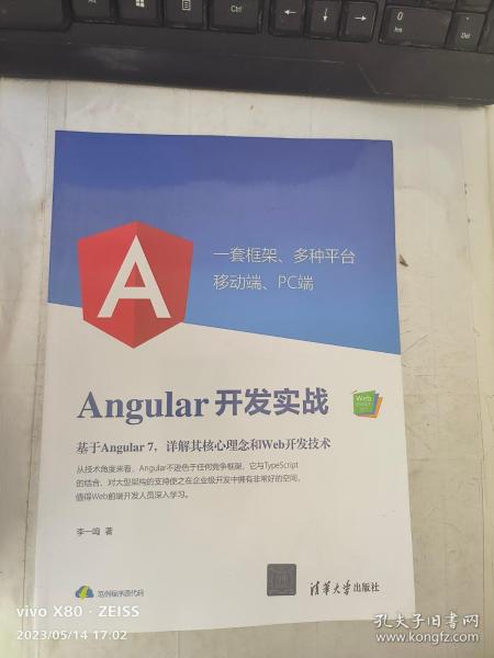 Angular开发实战（Web前端技术丛书）