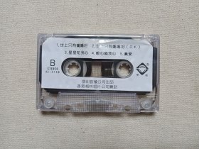 《电视连续剧（渴望）全部插曲：亲心换我心·焚心似火》音乐歌曲·立体声磁带、歌带、音带、专辑1盘1盒装1990年（深圳音像公司出品，香港格林唱片赞助）
