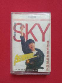 《伍思凯：特别的爱给特别的你》台湾排行榜首巨星·引进版音乐歌曲磁带、歌带、专辑1盒装1990年代（北京文化艺术音像出版社出版，台湾可登有声出版社有限公司、飞康香港供版，Sky Wu）