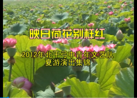 《映日荷花别样红：2012年北干弓中青年文艺队夏游演出集锦》VCD音乐歌曲·民族舞蹈光碟、光盘、磁盘、影碟、专辑、歌碟1碟片1袋装2012年（大理州鹤庆县辛屯镇大登村委会北干弓村，导演：杨润英、艺术指导：杨锡海，含：九寨沟的春天、丽江三部曲、阿达茵、溜溜的姑娘、欢乐纳西人、饮酒欢歌、雪山阿佳、纳西西语花花色等）