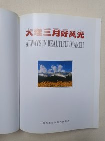《大理三月好风光》精美画册2002年9月1版1印（中国云南大理白族自治州人民政府/中国画报社编印，限印3000册，总顾问：刘平、赵立雄）