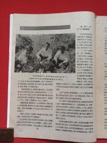 云南省一级社科期刊《大理文化1997.2》期刊杂志1997年第2期总第104期（大理文化编辑部编辑出版，大理州文联主办，主编：施立卓，编辑：杨圭泉、美术：方世雄、校正：刘秉忠）