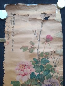 《花鸟画立轴（牡丹花图）》老国画/挂画/贴画1960年代（志明高怀礼作）1幅画