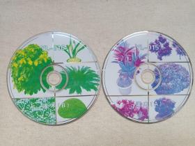 《图库（灌木）》2VCD-ROM光碟、光盘、影碟、专辑2碟片1袋装1990-2000年代(psd格式,编号：YL-015/016)