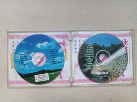《18大美女（SEX GIRL）》音乐歌曲·泳装特写·泳装美女·2VCD光碟、光盘、影碟、歌碟、唱片2002年2碟片1盒装（河北音像出版社出版发行）