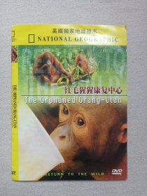 美国国家地理杂志NATIONAL GEOGRAPHIC《红毛猩猩康复中心（the orphaned orange-utan）》地理百科·DVD动物影视光碟、光盘、专辑、影碟1碟片1袋装2000-2010年代左右