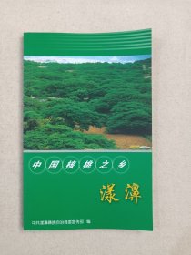 《中国核桃之乡-漾濞》宣传画册2000-2010年代（中共漾濞彝族自治县委宣传部编印，主编：曹劲鹄、代罗新）