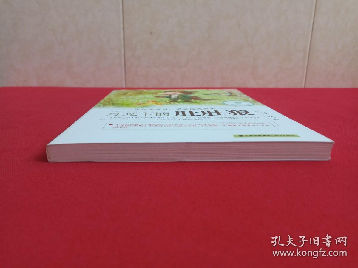 中国当代儿童文学童话十家《月光下的肚肚狼》2016年1月1版1印（著者： 冰波，晨光出版社出版发行）