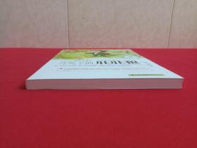 中国当代儿童文学童话十家《月光下的肚肚狼》2016年1月1版1印（著者： 冰波，晨光出版社出版发行）