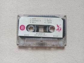 《龙年金曲大全》音乐歌曲·磁带、音带、声带、专辑1盘1盒装1990年代（云南音像出版社出版，云南广播电视公司发行，含：信天游、一无所有、心中的太阳、风的季节等）