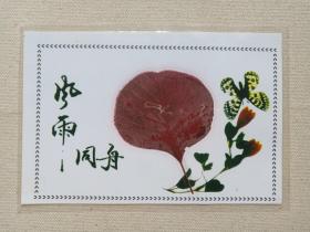 红心树叶贴画《风雨同舟》1980-1990年代（书签、书卡、树叶画、礼品礼物、纪念品、信笺、纪念卡）塑装