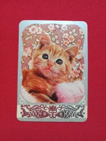 精装《小猫图年历卡》月历卡、日历卡片1985年（上海人民美术出版社）